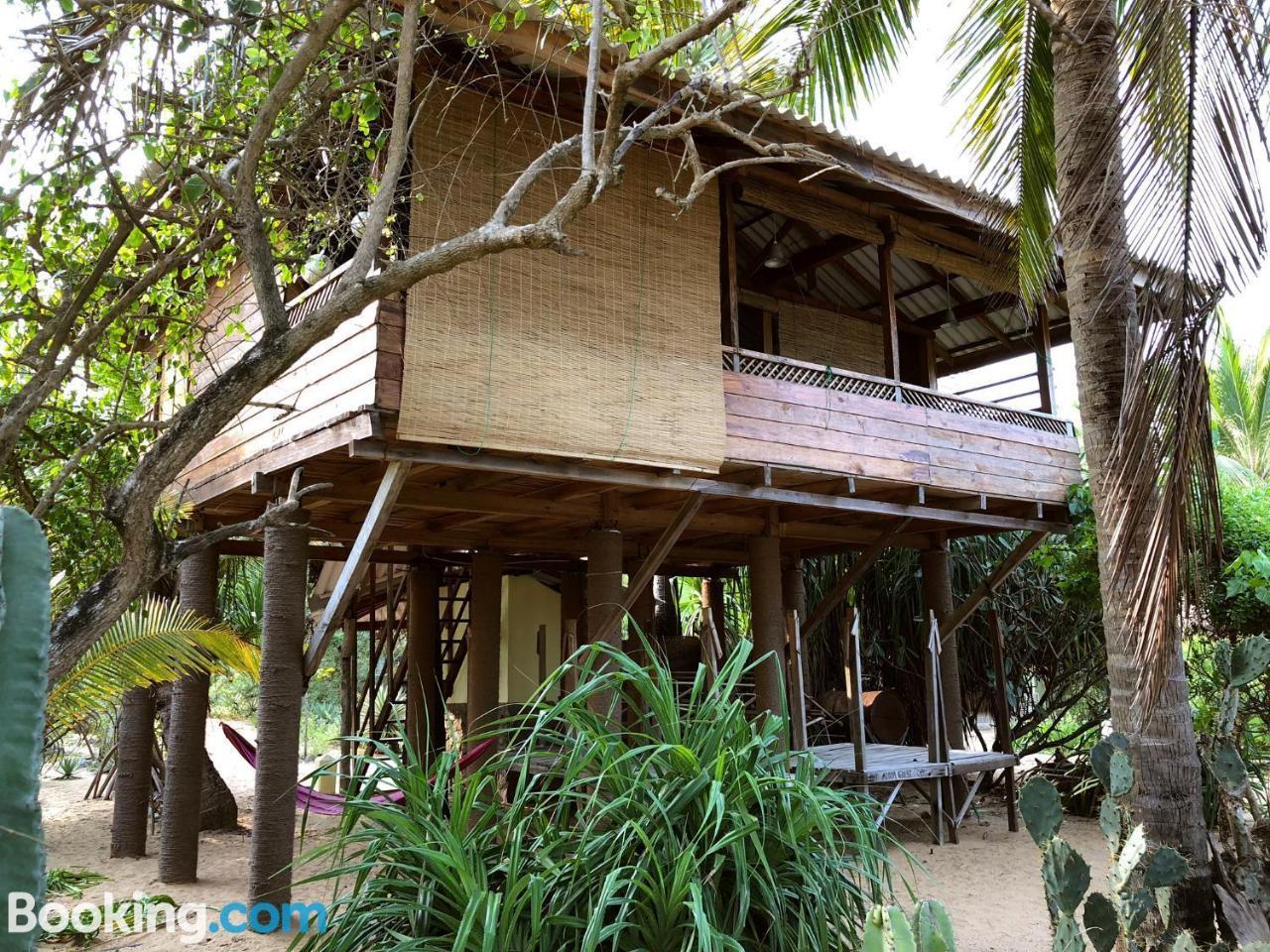Albero Cabanas Arugam Bay Kültér fotó