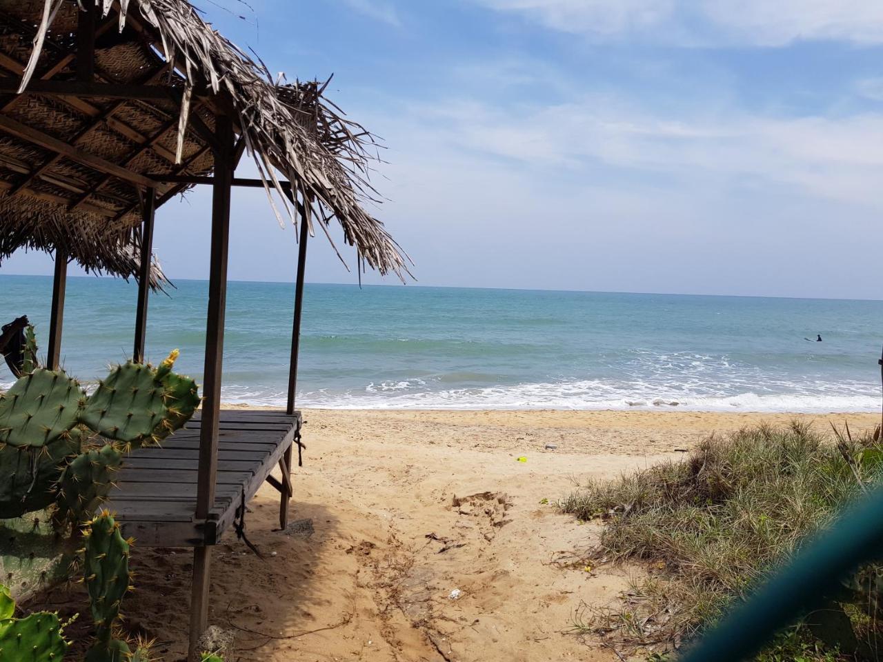 Albero Cabanas Arugam Bay Kültér fotó
