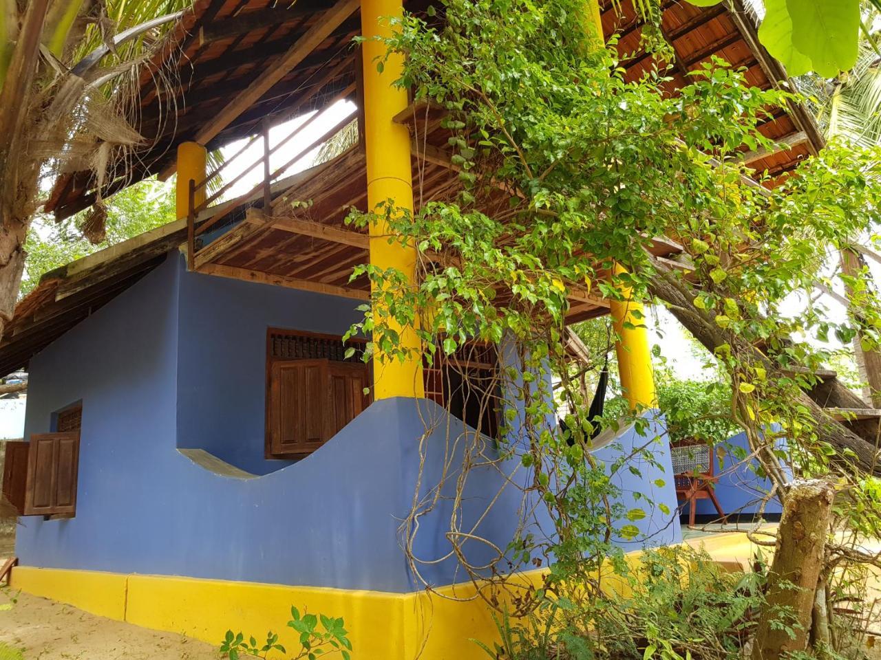 Albero Cabanas Arugam Bay Kültér fotó