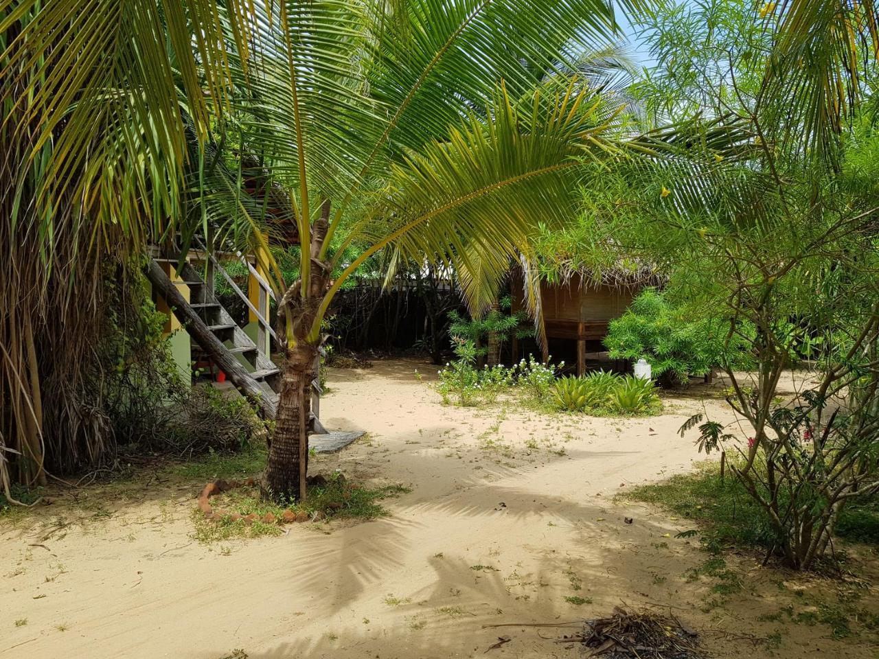Albero Cabanas Arugam Bay Kültér fotó