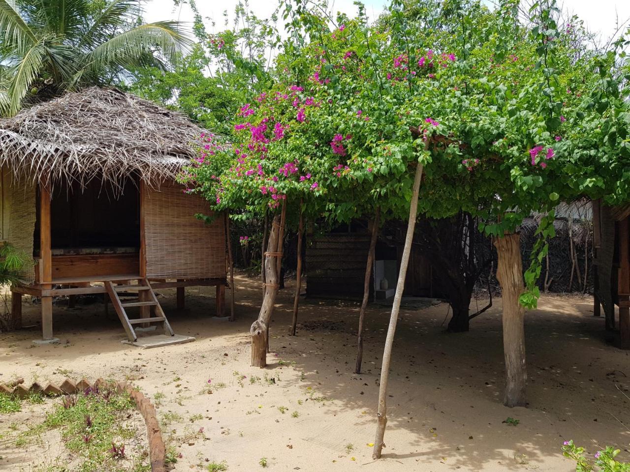 Albero Cabanas Arugam Bay Kültér fotó